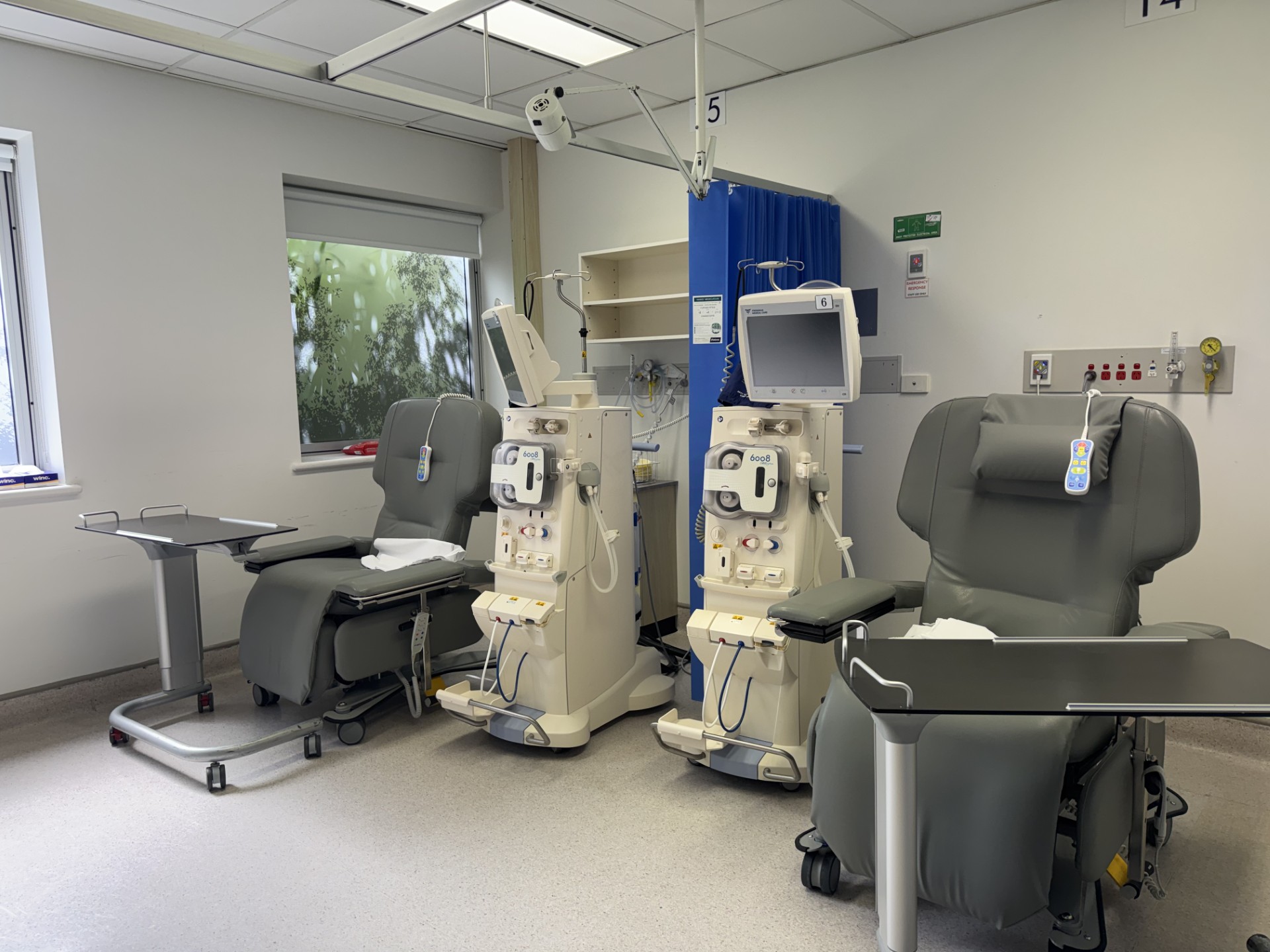 renal dialysis